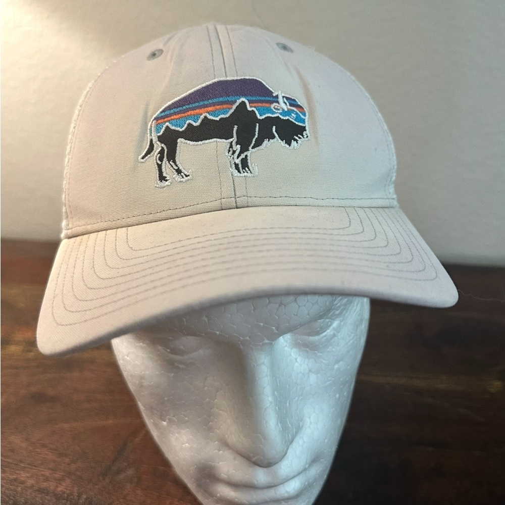 Patagonia‎ Trucker Hat Bison